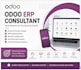 odoo functional consultant  odoo erp implementation