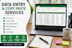 do accurate data entry, copy paste, web research and PDF conversion