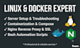 do linux system administration, docker containerization and nginx setup