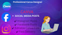 design eye catching canva social media posts