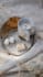 do vfx, cgi environments, compositing, rotoscoping, clean up