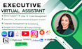 be virtual assistant data entry personal administrative executive social media
