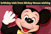 make happy birthday wish video from  mickey mouse