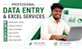 do data entry, clean, format, spilt, and merge excel data