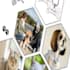 do pet supplies for animals