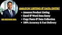 do amazon product listing and excel data entry as your virtual assistant