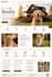 create a personalized dog care training and wellness planner with website