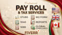 prepare adp payroll, stubs, paycheck, w2, 1099 and 1040