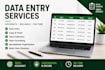 do accurate data entry and microsoft excel tasks