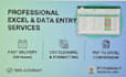 do excel data entry, csv cleaning, and pdf to excel conversion