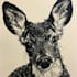 do custom linocut, woodcut and folk art