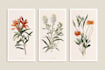 design best botanical illustration