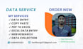 do excel data entry and professional designer