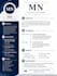 create professional resumes and cvs