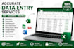 do accurate data entry, copy paste, web research, and excel data entry