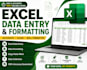 do excel data entry, data cleaning and PDF to excel conversion