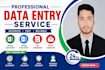 do data entry, internet research and data analysis