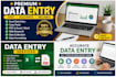 do accurate data entry, copy paste, excel data entry, pdf conversion