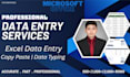 do professional excel data entry