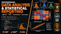 perform professional data analysis and statistical reporting