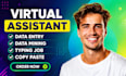 do professional data entry and web research