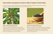 design professional medical, ayurveda powerpoint presentation
