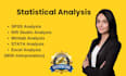 do statistical data analysis in spss,minitab,excel, r with report