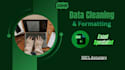 do professional data cleaning and data formatting in excel