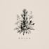 design a unique botanical boho logo