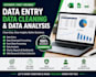 do data entry, data cleaning, excel data and data analysis