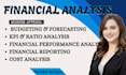 provide financial analysis, budgeting, forecasting and KPI reporting