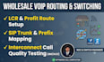 configure voip routing call testing and softswitch management