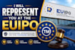 represent you before euipo for your eu trademark matters