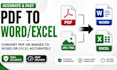 do pdf, image to excel or word conversion