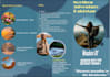 design a animated flyer