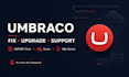 fix, upgrade and maintain your umbraco website