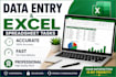 do accurate data entry and excel spreadsheet tasks