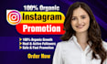 do instagram promotion for organic growth
