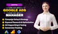 setup and optimize google ads