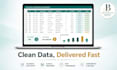 l do fast and accurate excel or google sheets data entry and spreadsheet cleanup
