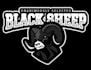 draw outstanding ram skull mascot logo with express delivery