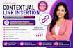 do contextual link insertion on relevant websites