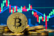 help you set up bitcoin wallet and learn crypto step by step