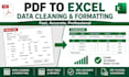 convert PDF to excel data cleaning and structuring