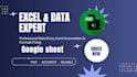 do professional excel data entry and google sheets automatio