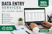 do data entry ms word excel copy paste