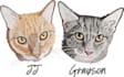 professionally digitize your embroidery design