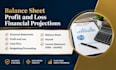 prepare profit and loss statement, US CPA letter, CPA verification