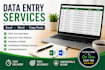 do data entry, copy paste and excel data entry