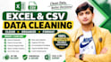 clean, organize and format your excel or CSV data